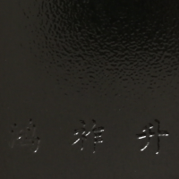導電（diàn）黑波紋